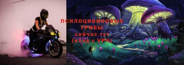 трава Дмитриев