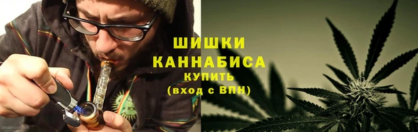 PSILOCYBIN Ельня