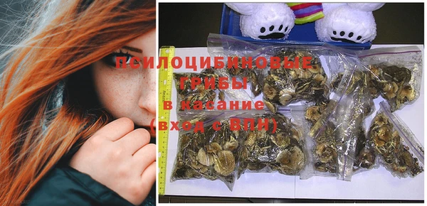дурь Елабуга
