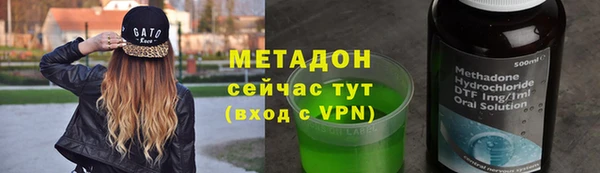 PSILOCYBIN Ельня