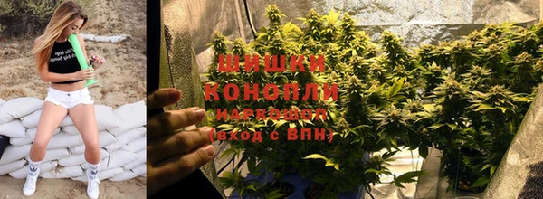 дурь Елабуга